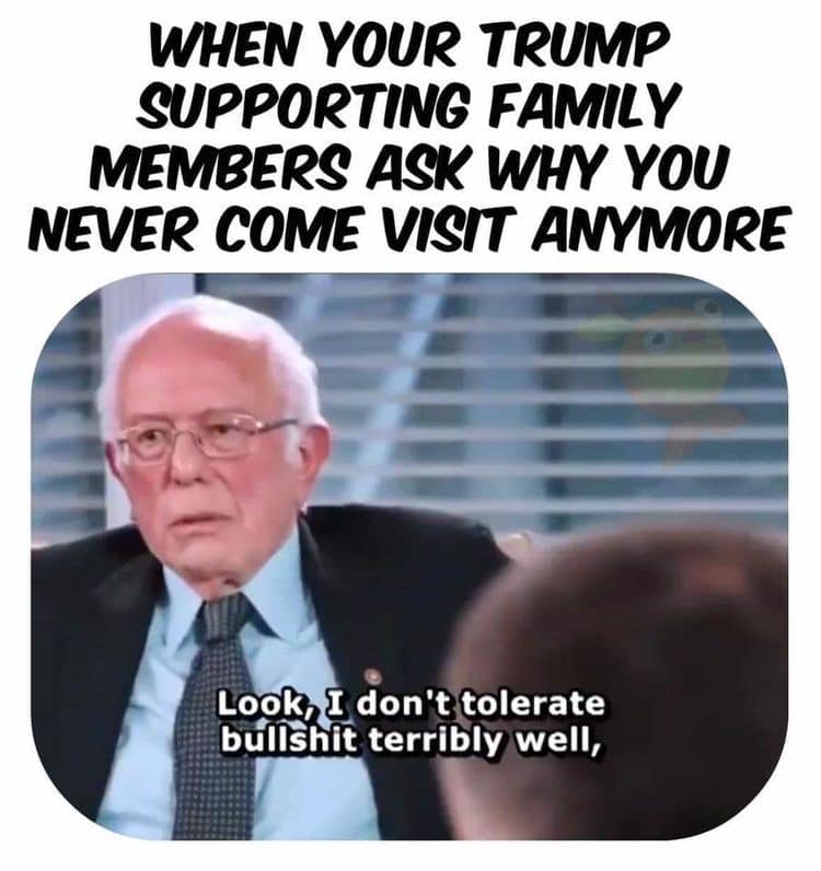 This meme is a humorous image featuring Bernie Sanders, a former US Senator, with a sarcastic expression. The text above the image reads: "When your Trump supporting family members ask why you never come visit anymore." Below the image, Bernie is quoted saying: "Look, I don't tolerate bullshit terribly well, especially when it's coming from someone who's been in the White House for the last 4 years."